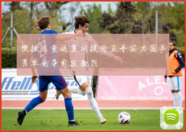 樊振东重返集训提升正手实力国乒男单竞争愈发激烈