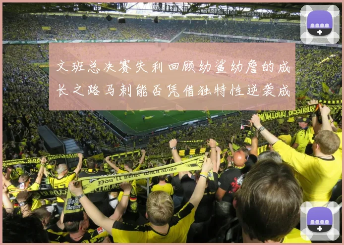文班总决赛失利回顾幼鲨幼詹的成长之路马刺能否凭借独特性逆袭成功